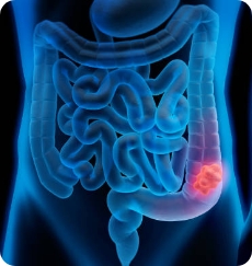 THE DIVERSE SECTIONS OPERATING <span>WITHIN OUR HOSPITAL</span>